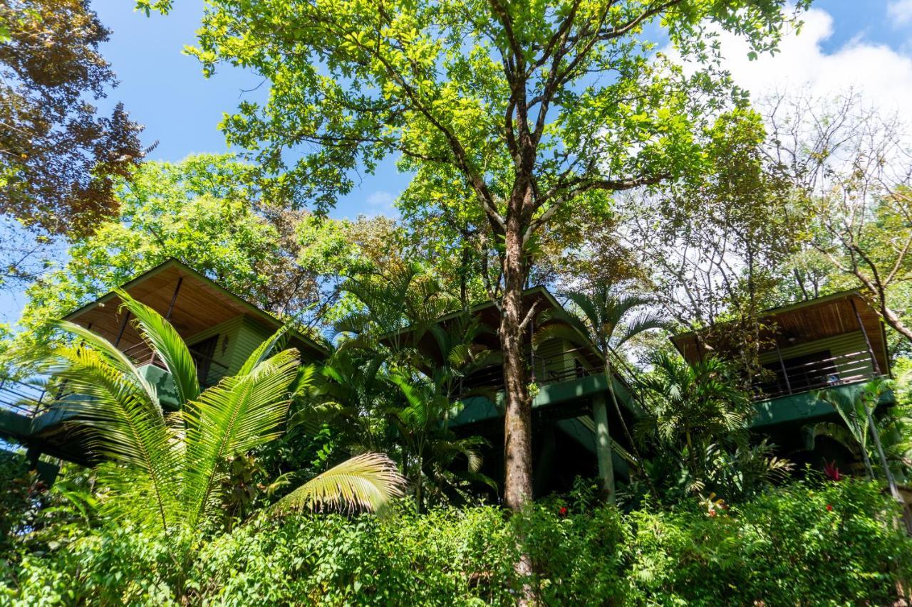 Arbol Verde Villas Ojochal Εξωτερικό φωτογραφία