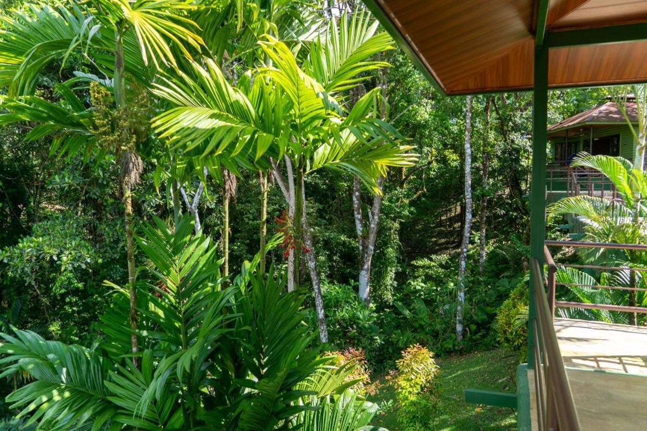 Arbol Verde Villas Ojochal Εξωτερικό φωτογραφία